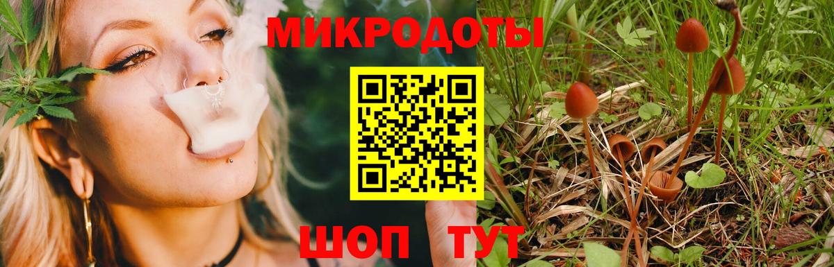 Галлюциногенные грибы MAGIC MUSHROOMS  Вход с VPN  Черемхово 